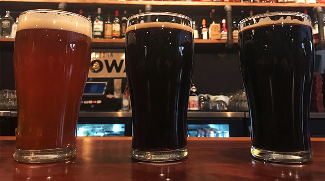 A Beer a Day Keeps the Doctor Away ... ?