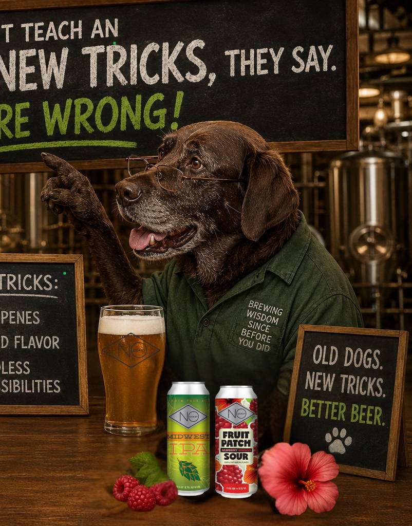 "You can't teach an old dog new tricks," they say. They're WRONG!